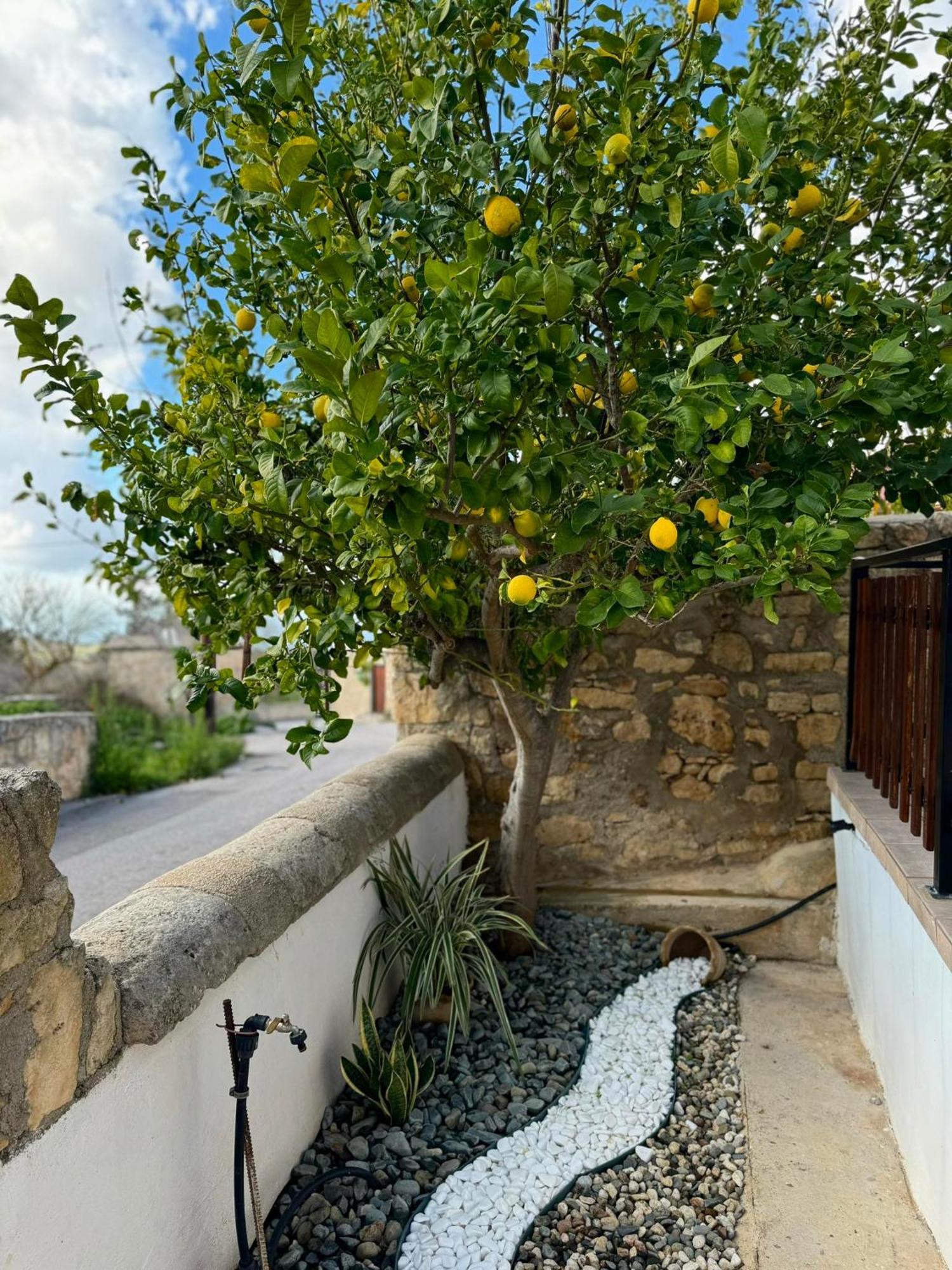 Mariarodes House Βίλα Πάνω Αρόδες Εξωτερικό φωτογραφία